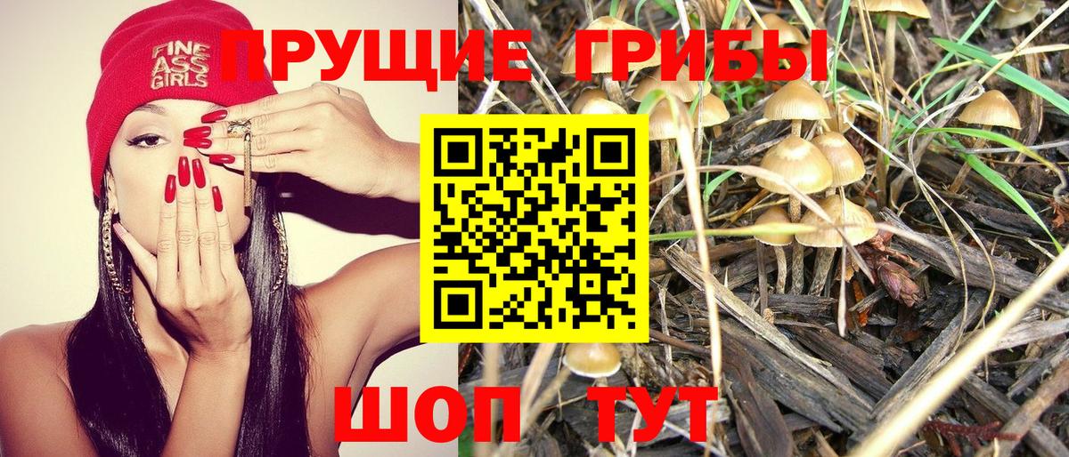 Псилоцибиновые грибы GOLDEN TEACHER Обнинск