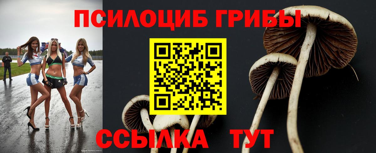 Обнинск  Псилоцибиновые грибы ЛСД  Вход с VPN 